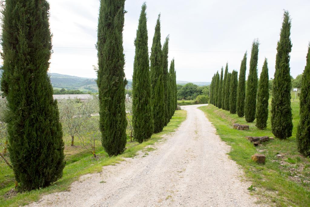 Podere Il Tigliolo Castiglione dʼOrcia Exteriér fotografie