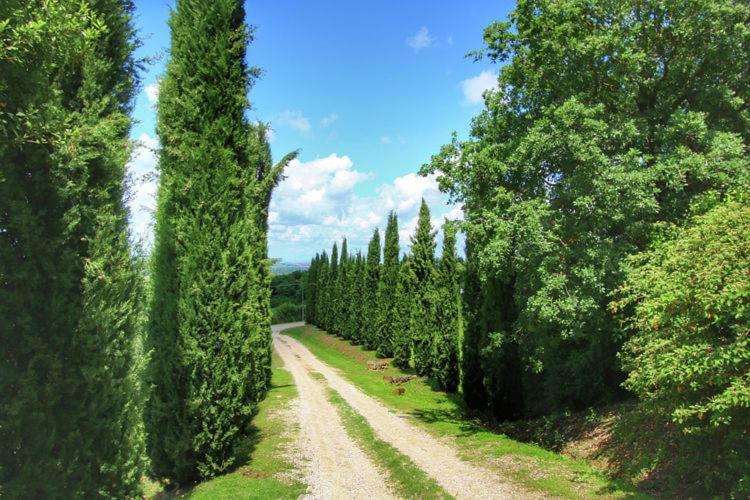 Podere Il Tigliolo Castiglione dʼOrcia Exteriér fotografie
